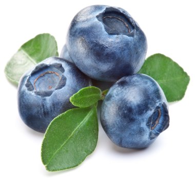 Blueberries with leaves clipart