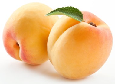 Apricots with leaves clipart