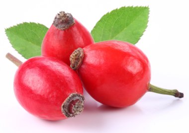 Group of rose hips. clipart