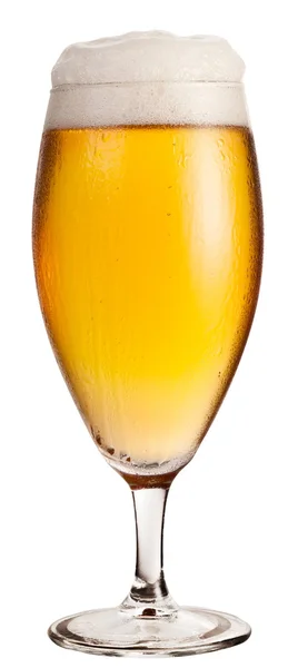 冷淡杯光啤酒 — 图库照片