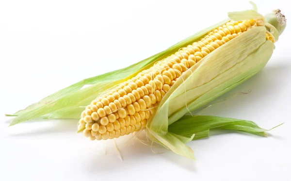 Kukurydza na białym tle — Zdjęcie stockowe