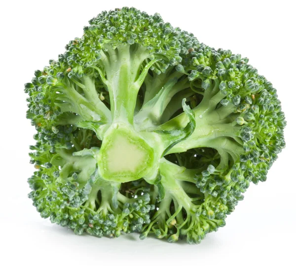 Brokolice na bílé — Stock fotografie