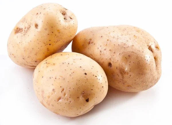 Beyaz bir patates — Stok fotoğraf
