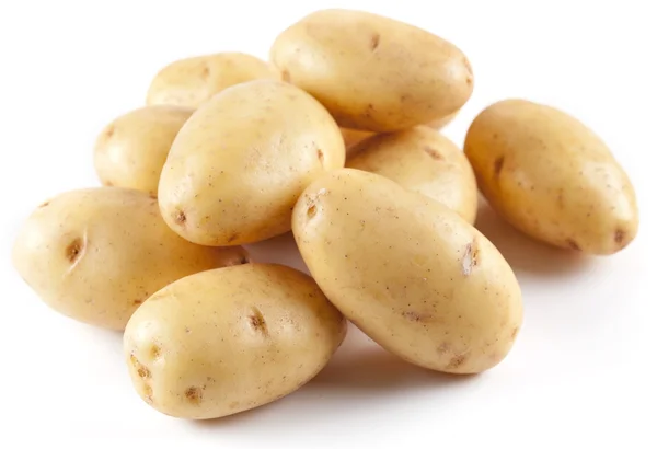 Beyaz bir patates — Stok fotoğraf