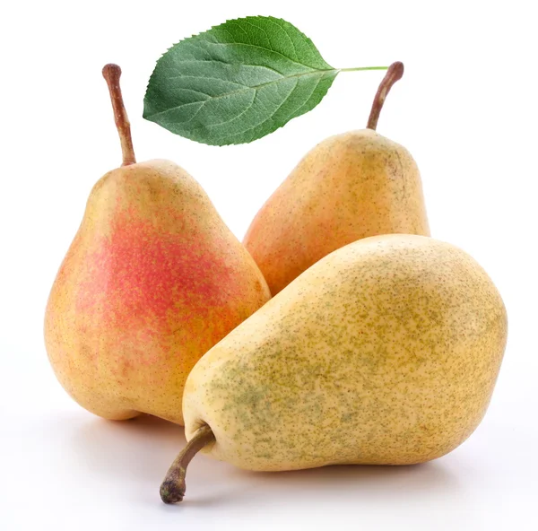 Päron på en vit — Stockfoto