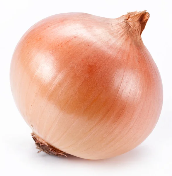 Onion on a white background — Stock Photo, Image