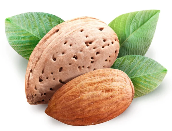 Kacang almond . — Stok Foto