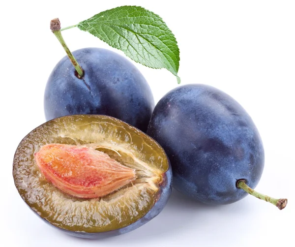 Group of plums with leaf. — Stock Photo, Image