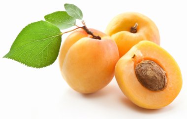 Apricots with leaves clipart