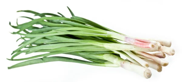 Cebolas verdes cacho em um fundo branco — Fotografia de Stock