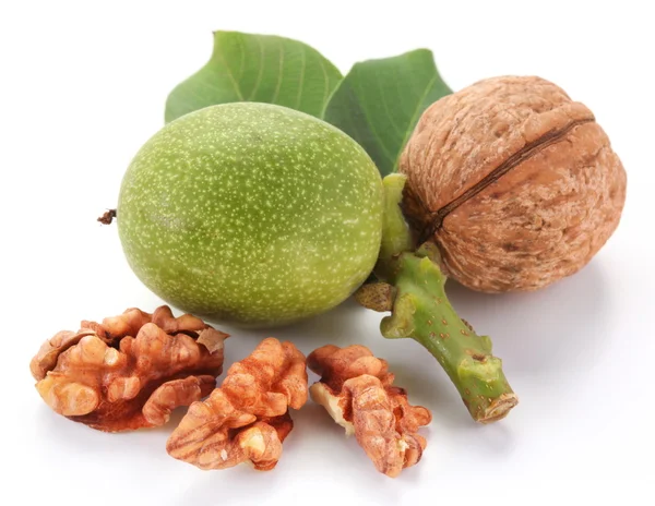 Groene walnoot; gepelde walnoot en zijn kernels. — Stockfoto