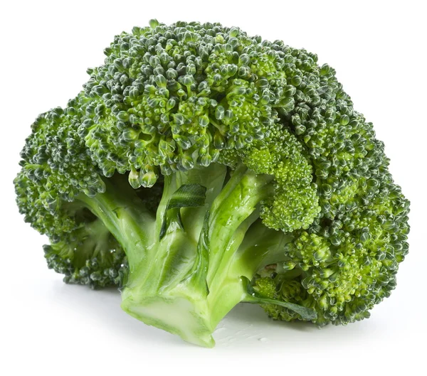 Broccoli pe un alb — Fotografie, imagine de stoc