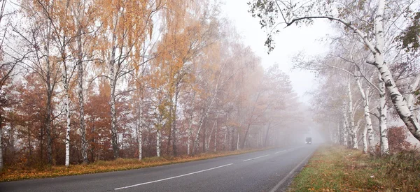 Bos weg in een mistige herfst dag. — Stockfoto