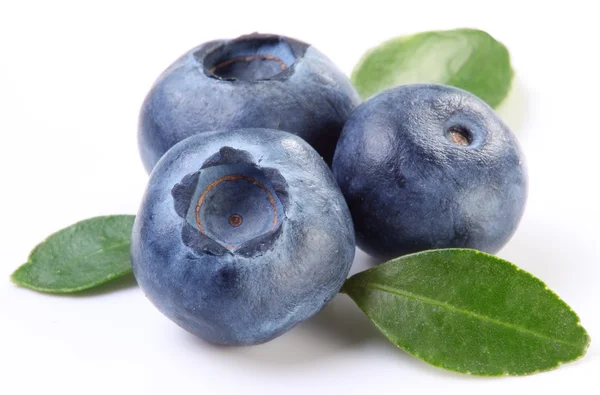 Blueberries with leaves Royalty Free Stock Photos