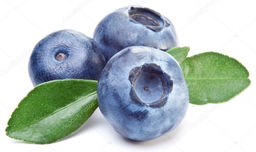 Blueberries with leaves