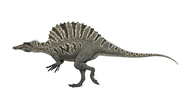 恐竜スピノサウルス — ストック写真