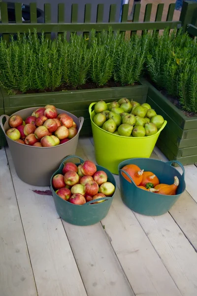 stock image Apples in basket