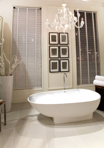 Elegant bath room — Stock Photo, Image