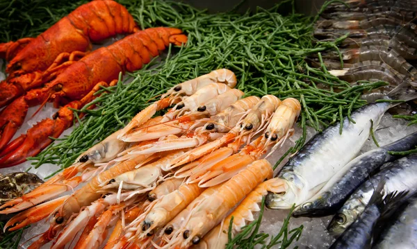 Sea food table — Stock Photo, Image