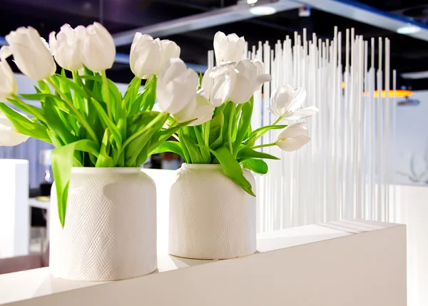 Białe tulipany w wnętrza — Zdjęcie stockowe
