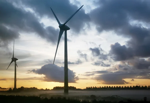 stock image Morning wind mills