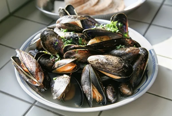 Dutch mussels — Stock Photo, Image