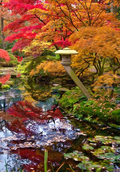 Herbstzeit — Stockfoto
