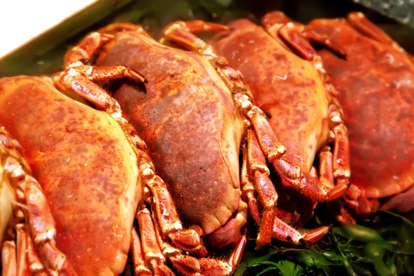 Raw crabs in shop — Stock Photo, Image