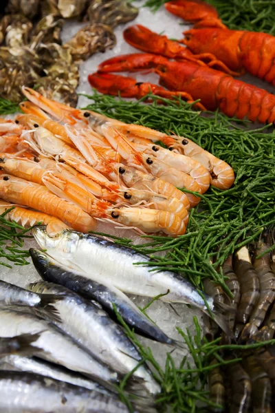 Sea food table Royalty Free Stock Images