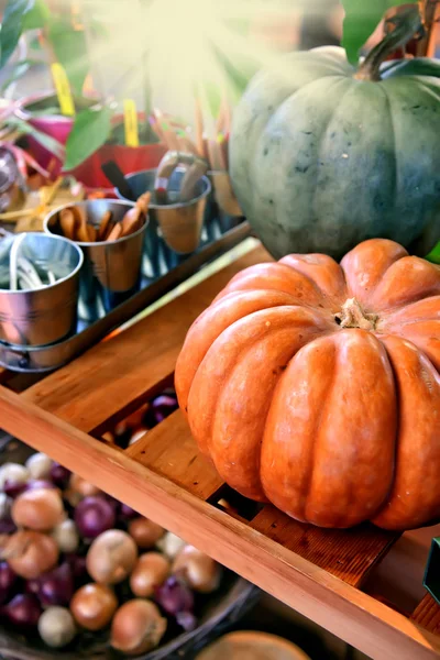 Autumn harvest — Stock Photo, Image