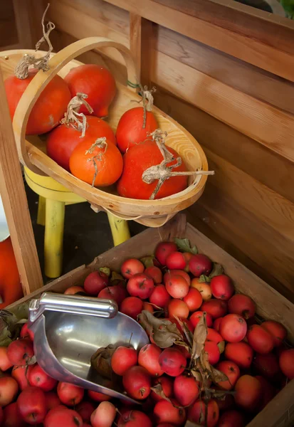 Harvest at home — Stock Photo, Image