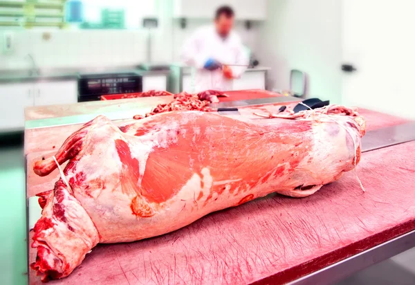 肉类工厂 — 图库照片
