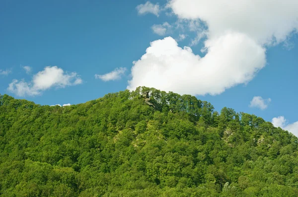 Krajobraz lato z drzew, góry, chmury i błękitne niebo — Zdjęcie stockowe