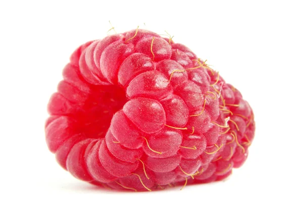 Малиновые фрукты — стоковое фото