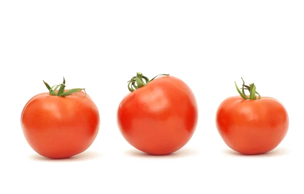 stock image Tomato