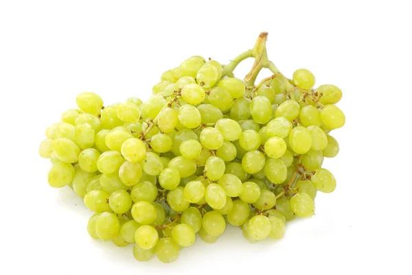 Grapes — Stock Photo, Image