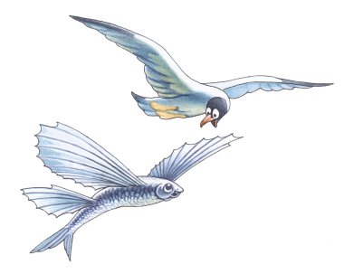 The seagull is surprised to flight of flying fish clipart