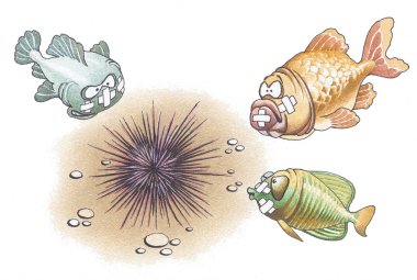 Careless fishes were wounded about a sea-urchin clipart