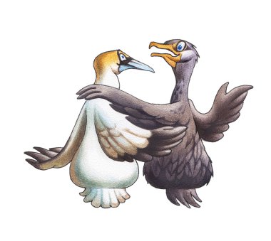 Friendship of a cormorant and Booby clipart