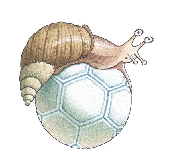 Snail on the ball — Stock Photo, Image
