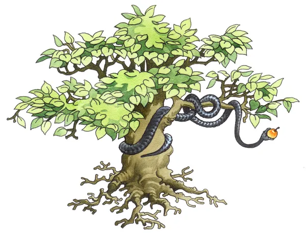 隐藏的一棵树上的黑曼巴. — 图库照片