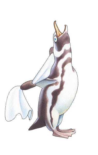 Pingouin de Magellan en Patagonie Photo De Stock