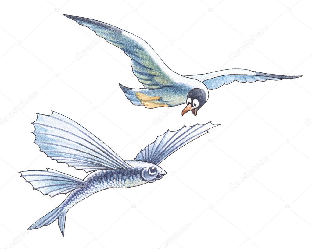 The seagull is surprised to flight of flying fish