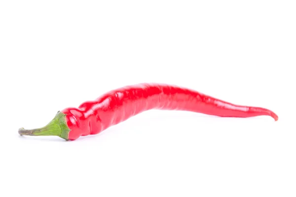 stock image Chili pepper