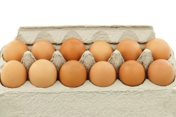 Huevos orgánicos de docena — Foto de Stock