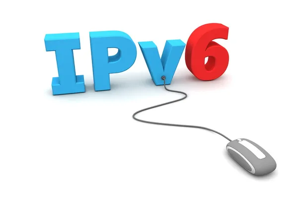 Procurar IPv6 - Rato cinzento — Fotografia de Stock
