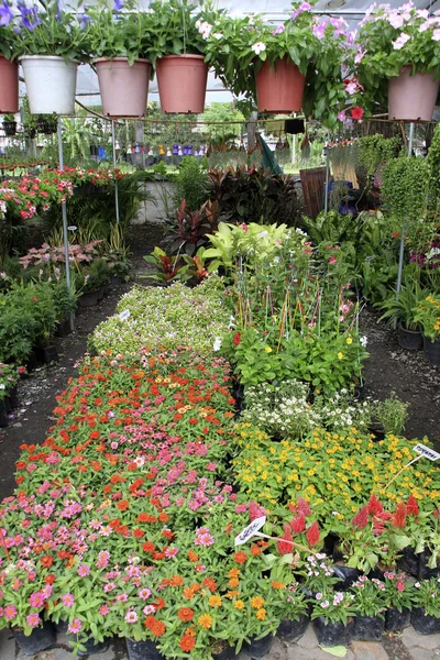 stock image Flower market