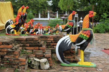 wat thummikarat içinde takım kadroları