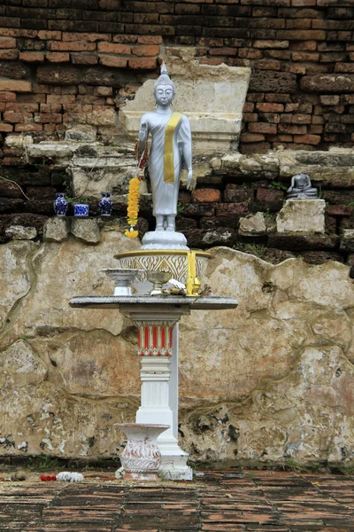 Buddha in Wat Thummikarat — Stock Photo, Image