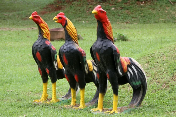 Roosters — Stock Photo, Image